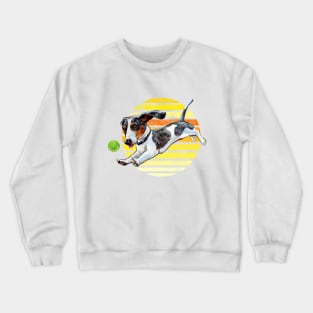 Cute Retro Sun Dachshund Puppy by Robert Phelps Crewneck Sweatshirt